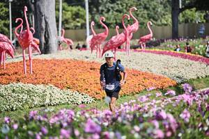 BIB: 
                            <button type="button" onclick="openModal(27794455)" class="btn btn-primary btn-sm float-right btn-popup" data-toggle="modal" data-target=".modal-high-quality">
                        <i class="fas fa-shopping-cart"></i> Add to Cart
                    </button>
                                            <button type="button" onclick="isThisMe(27794455, true)" class="btn btn-success btn-sm float-right btn-popup btn-isme hidden" data-toggle="tooltip" data-placement="bottom" title="นี่คือรูปของคุณใช่ไหม คลิกที่นี่เพื่อเอาเข้าอัลบั้ม">
                        <i class="fas fa-plus"></i> Add to album
                    </button>
                    <button type="button" onclick="isThisMe(27794455, false)" class="btn btn-warning btn-sm float-right btn-popup btn-isnotme hidden">
                        <i class="fas fa-ban"></i> Remove from album
                    </button>